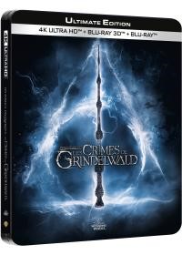 affiche du film Les Animaux Fantastiques : Les Crimes de Grindelwald