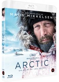 Affiche du film Arctic
