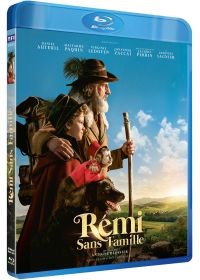 affiche du film RÃ©mi sans famille