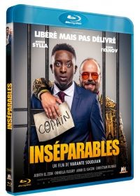 Affiche du film InsÃ©parables