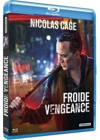 Affiche du film Froide Vengeance