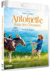Affiche du film Antoinette dans les Cévennes