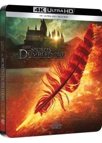 Affiche du film Les Animaux Fantastiques : Les Secrets de Dumbledore 