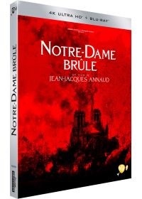 Affiche du film Notre-Dame brûle 