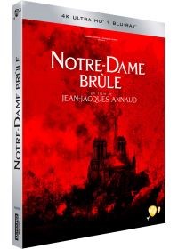 Affiche du film Notre-Dame brÃ»le 