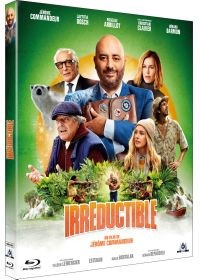 Affiche du film IrrÃ©ductible