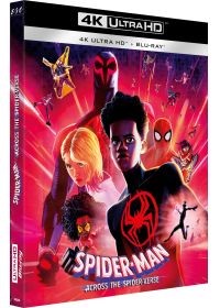 Affiche du film Spider-Man : Across the Spider-Verse