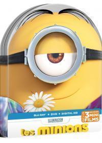 affiche du film Les Minions 