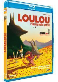 affiche du film Loulou, l'incroyable secret