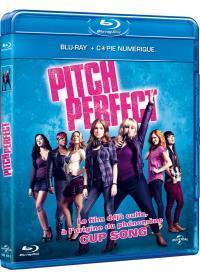 Affiche du film Pitch Perfect (The Hit Girls) 