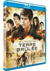 Affiche du film Le Labyrinthe : La Terre BrÃ»lÃ©e 