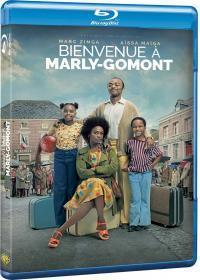 Affiche du film Bienvenue Ã  Marly-Gomont