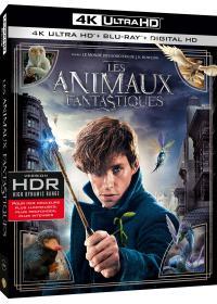 affiche du film Les Animaux Fantastiques 