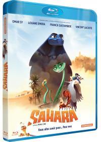 Affiche du film Sahara (Animation Pierre CorÃ©)