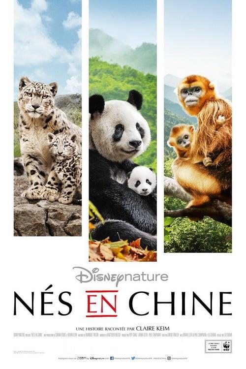 Affiche du film NÃ©s en Chine