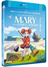 Affiche du film Mary et la fleur de la sorciÃ¨re