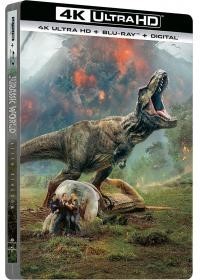Affiche du film Jurassic World : Fallen Kingdom 